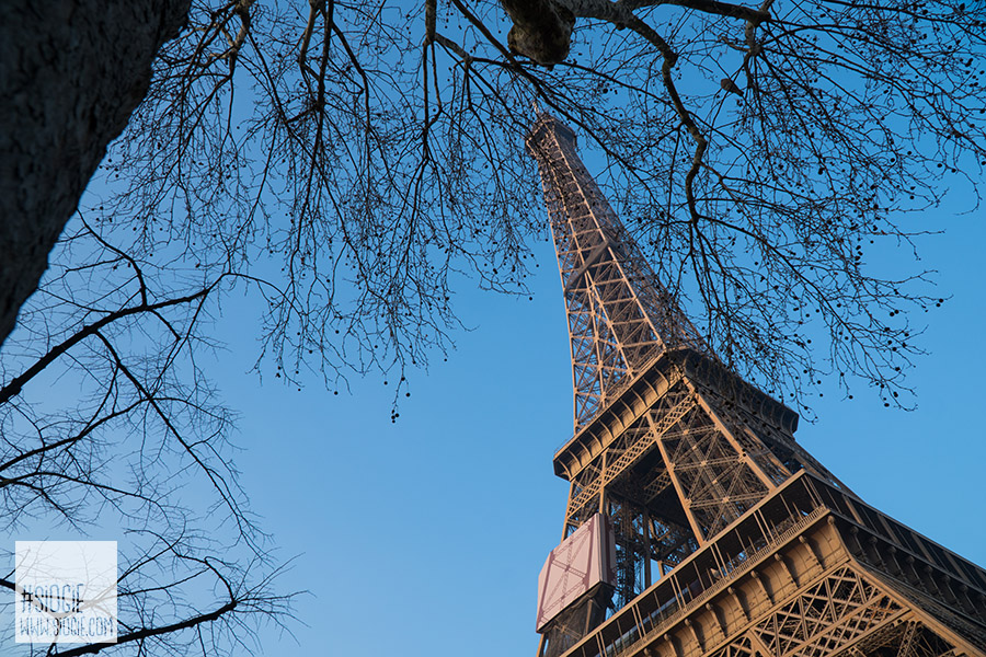 Menara Eiffel Paris, Honeymoon di paris